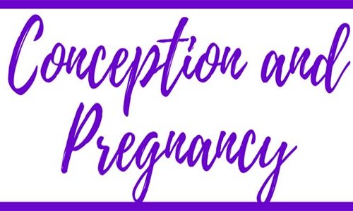 Conception and Pregnancy
